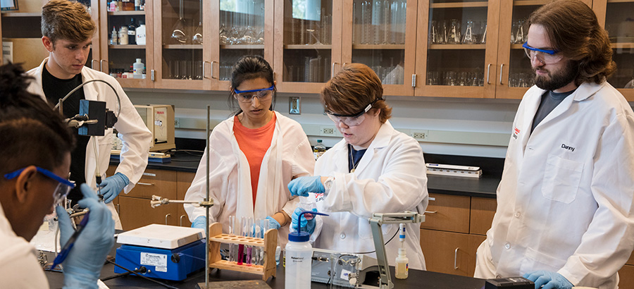 A group of students work in a lap