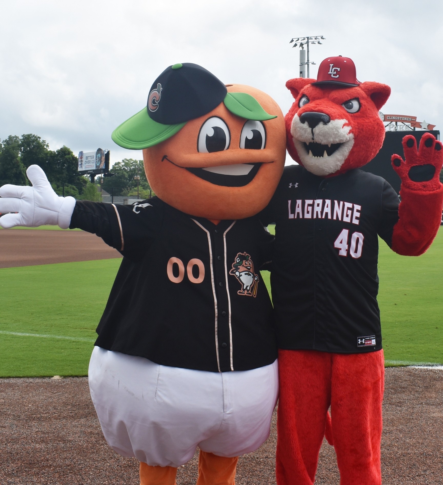 Fuzzy and Pouncer Waving
